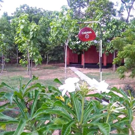 Lavish Eco Jungle Hotel Tissamaharama Exterior foto