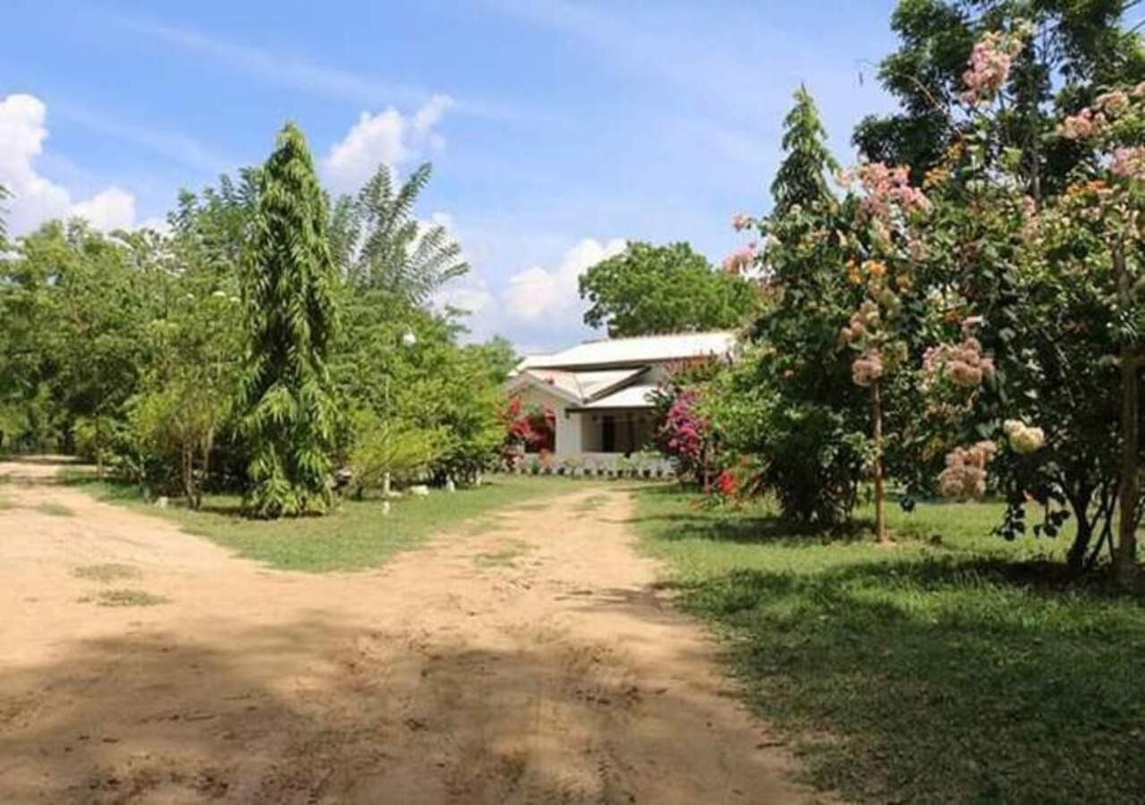 Lavish Eco Jungle Hotel Tissamaharama Exterior foto