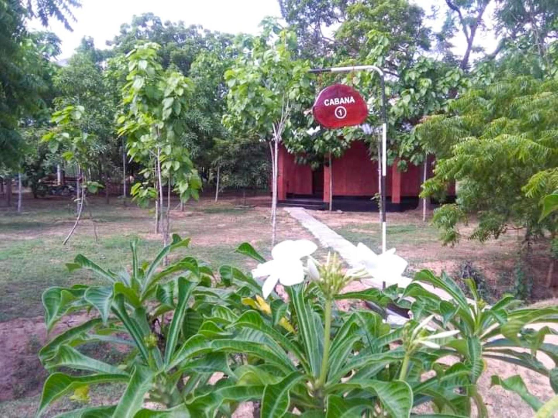 Lavish Eco Jungle Hotel Tissamaharama Exterior foto