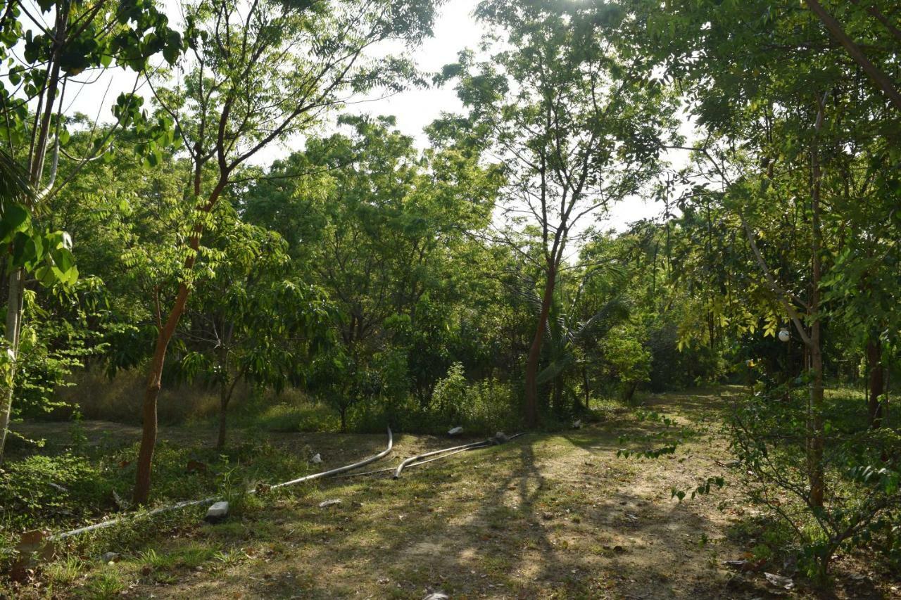 Lavish Eco Jungle Hotel Tissamaharama Exterior foto
